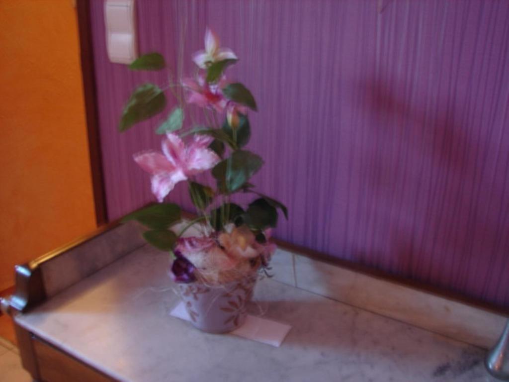 Gite De Fontepaisse แซงต์-ฌอง-ออง-รัวยองส์ ห้อง รูปภาพ
